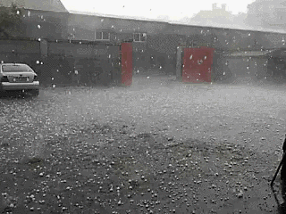 公司动态研究报告：业绩符合预期多板块战略持续推进